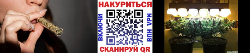 Шишки марихуана MAZAR  Купить  Островной 